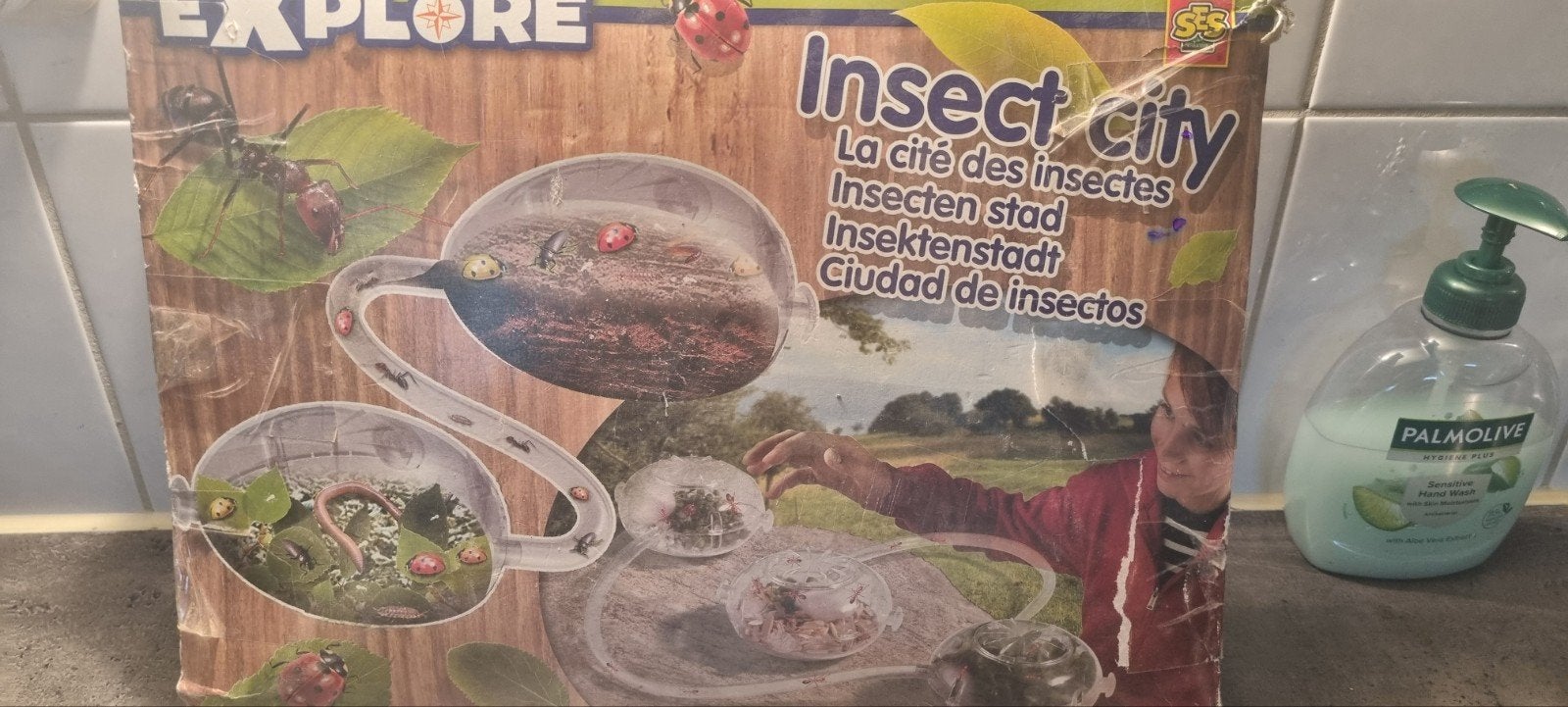 terrarium, 0 tot 2 jaar