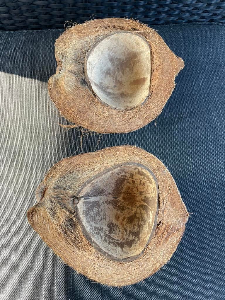 2 halve decoratie kokosnoten schalen., Schaal, Rond, Ophalen of Verzenden, Zo goed als nieuw
