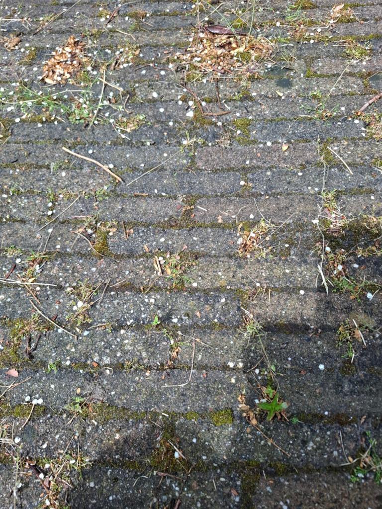 Ca 10 m2 waaltjes. Gratis, Ophalen of Verzenden, Gebruikt, Beton, Klinkers