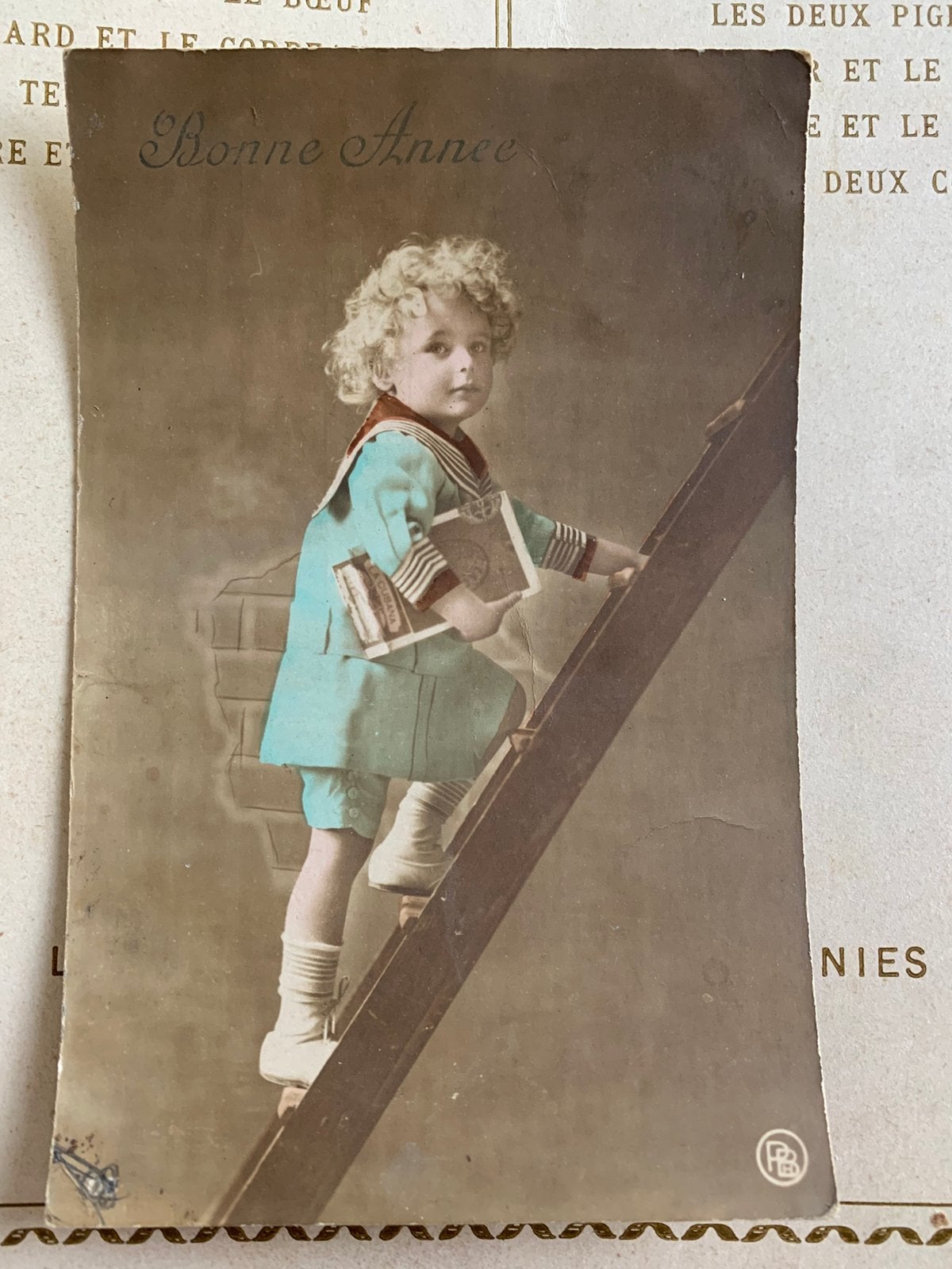 Bonne Année - Krullenbol op de trap (VB), Ophalen of Verzenden, Voor 1920, Gelopen, Kinderen