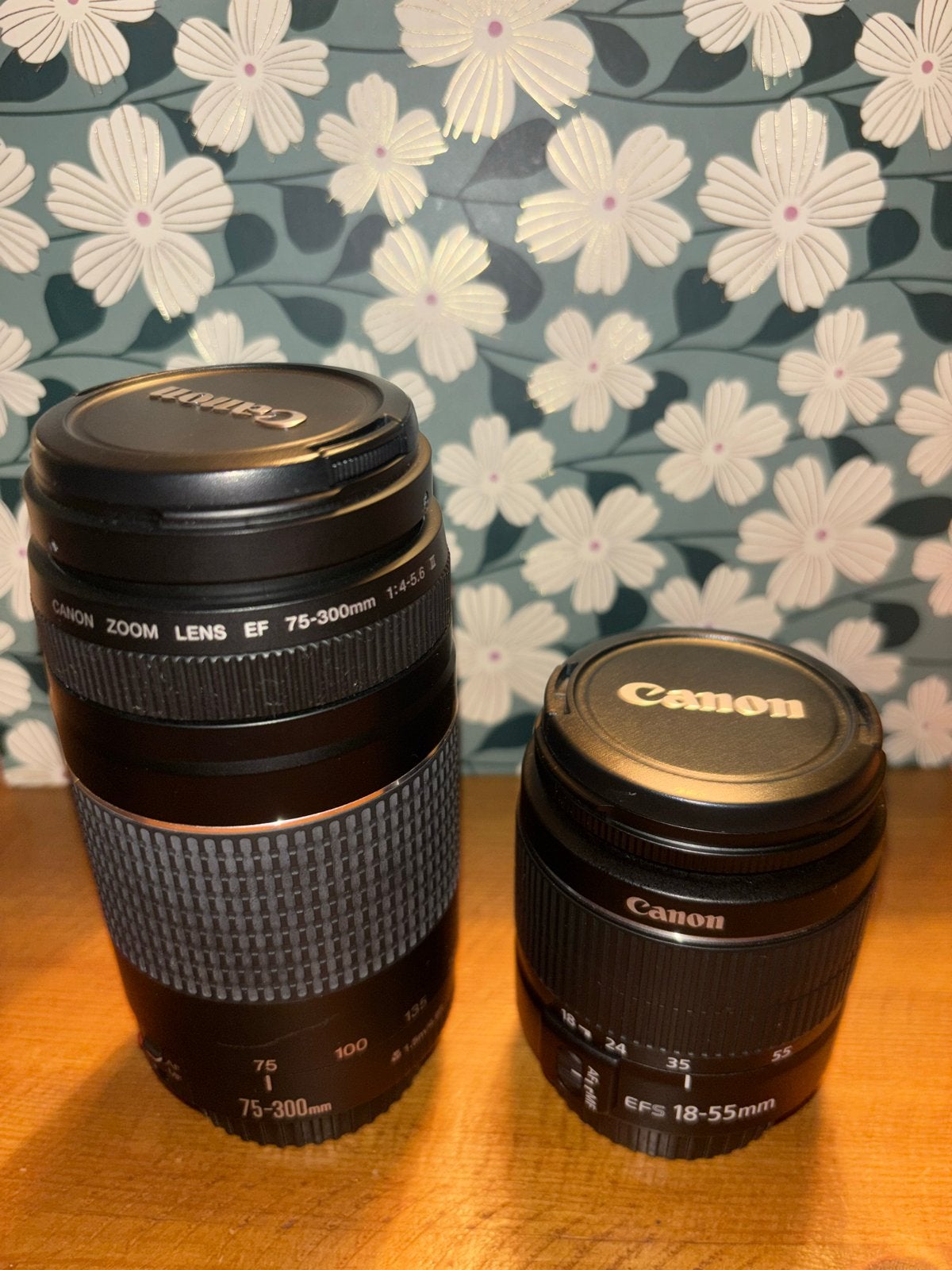Canon lens set
