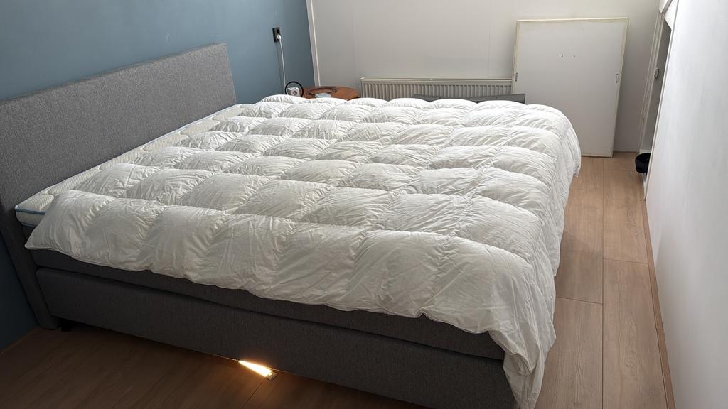 Dekbed Dixxius, Huis en Inrichting, Ophalen, Wit, Tweepersoons, Deken of Dekbed