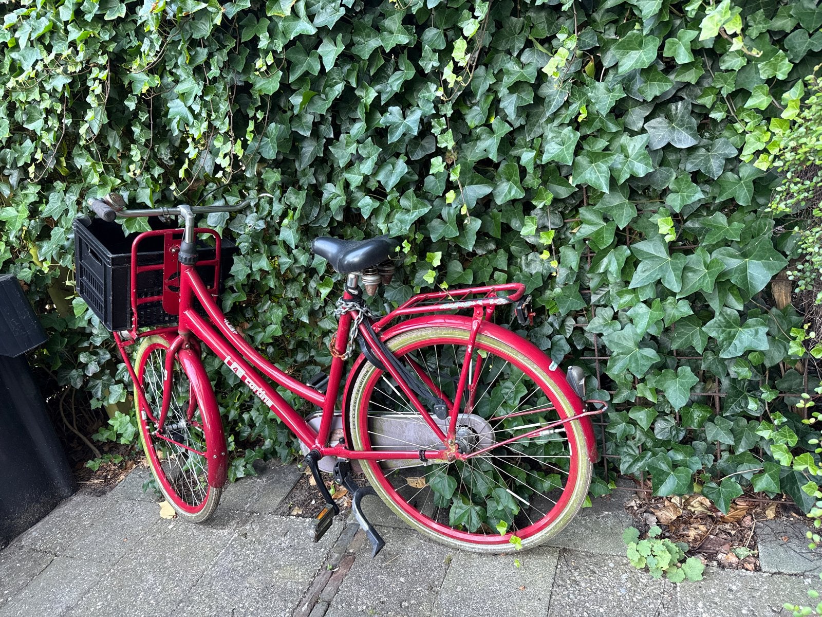 Rode Cortina fiets met voordrager en krat, Versnellingen, Trommelrem, Ophalen, Overige merken