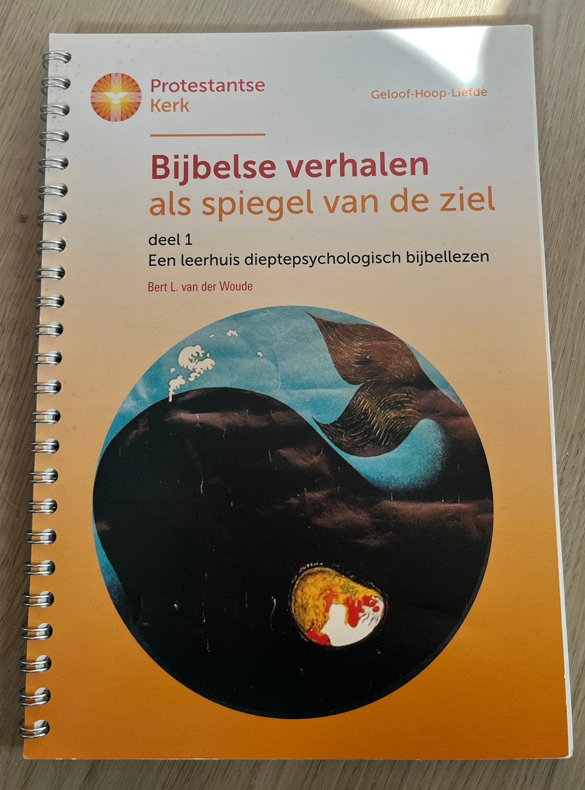 Bijbelse verhalen als spiegel van de ziel deel 1, Ophalen of Verzenden, Gelezen, Christendom | Protestants