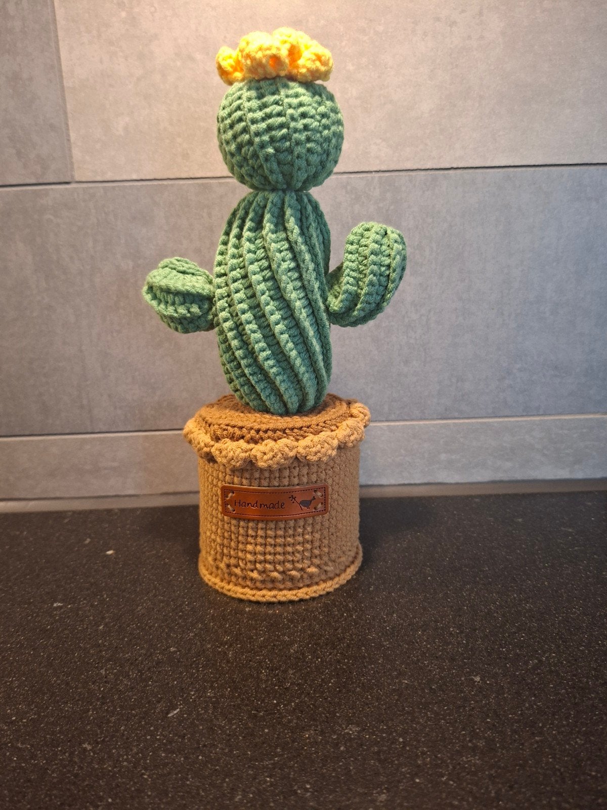 Nieuw! Handmade cactus gehaakt, Ophalen of Verzenden, Nieuw, Haken, Overige typen