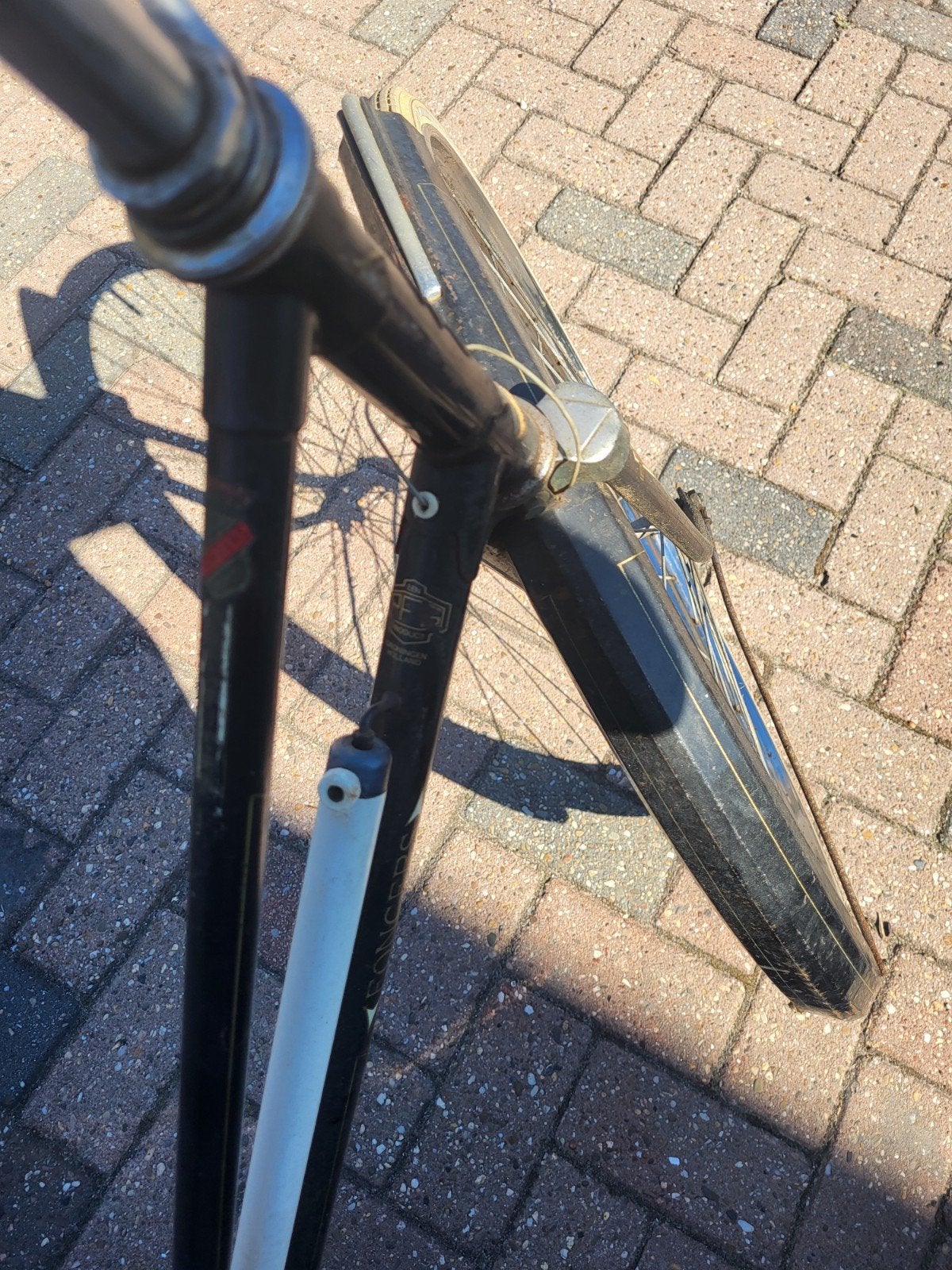 Vintage Fongers Damesfiets - Klassiek Model, Overige merken, Terugtraprem, Ophalen of Verzenden, 53 tot 56 cm
