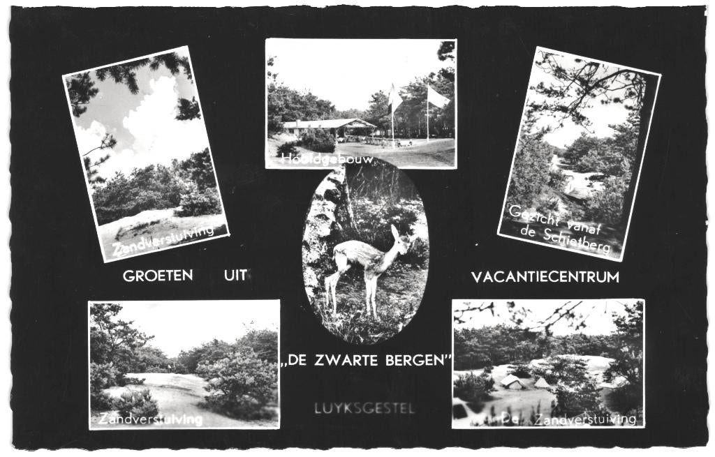 991309 Luyksgestel De Zwarte Bergen 1959 N Br Gelopen zegel