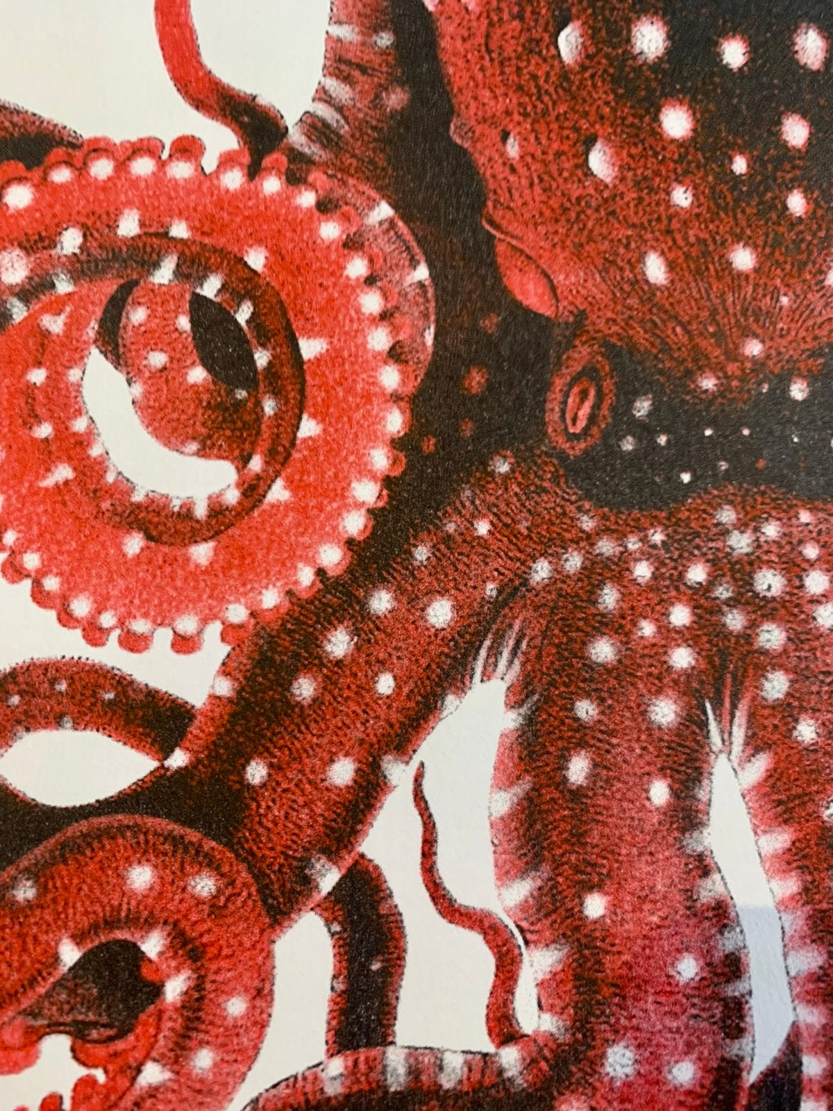 Riso print poster van een octopus - A3 formaat, Rechthoekig Staand, Nieuw, Ophalen of Verzenden, A1 t/m A3