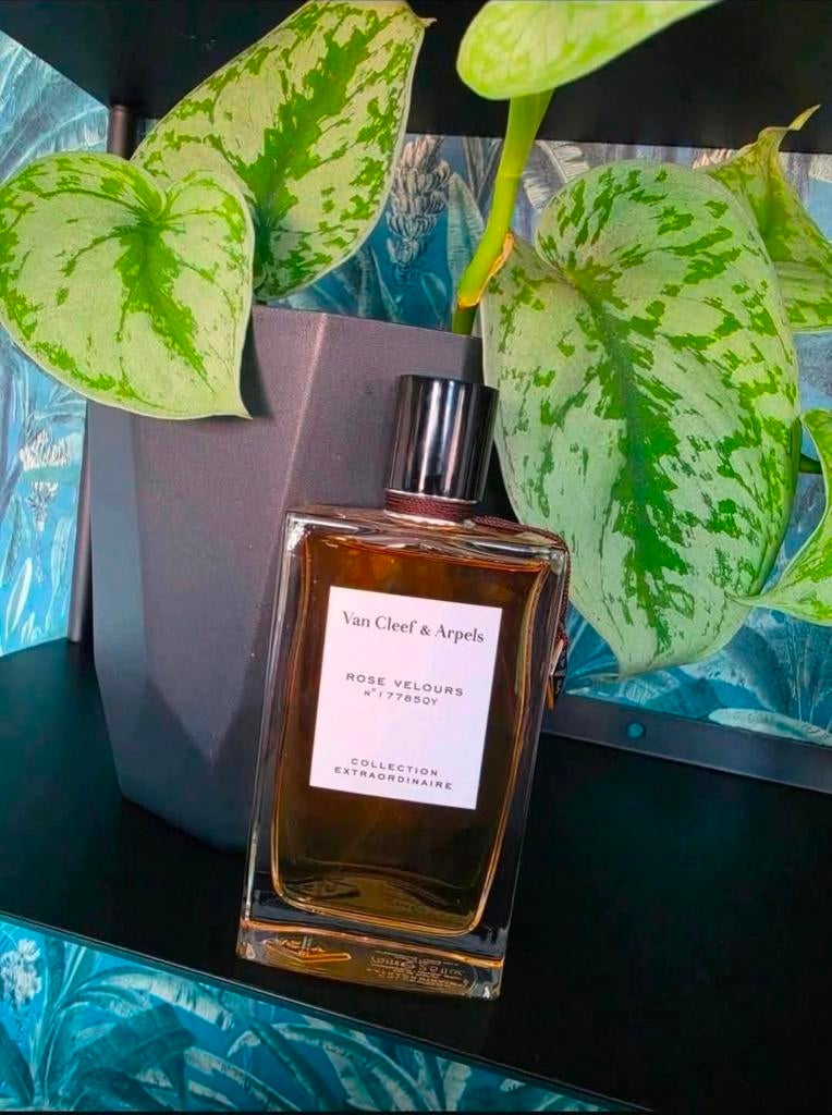 Van cleef & arpels rose velours decants, Ophalen of Verzenden, Nieuw