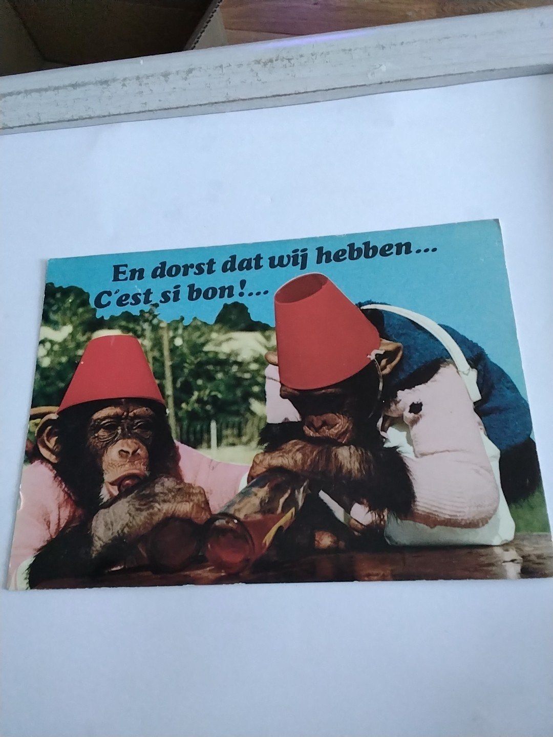 EN DORST DAT WIJ HEBBEN...  CEST SI BON!..., Ophalen of Verzenden, Overige thema's
