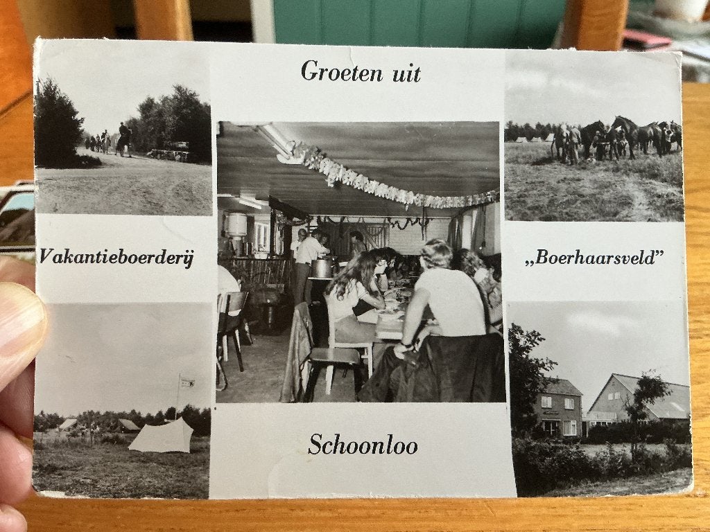 Schoonloo vakantie boerderij, Verzenden, 1960 tot 1980, Ongelopen, Drenthe