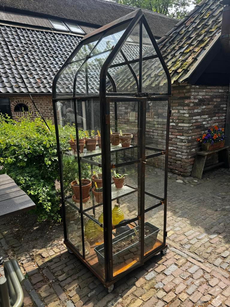 Vintage jaren '30 stijl druivenkas kas greenhouse op wielen, Tuin en Terras, Kweekkas, Zo goed als nieuw, Ophalen, Staal