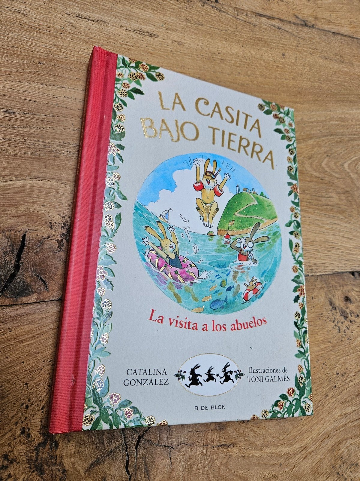 La vista a los abuelos, Ophalen of Verzenden, Nieuw, Catalina gonzalez, Fictie