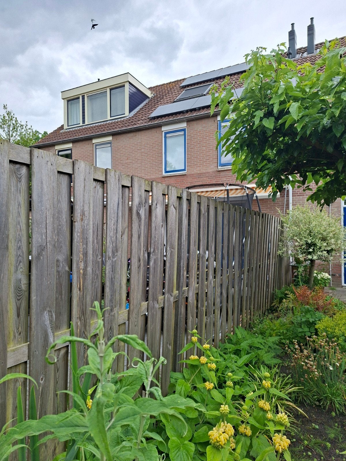5 schuttingen, Ophalen of Verzenden, Hout, Minder dan 3 meter, 1 tot 2 meter