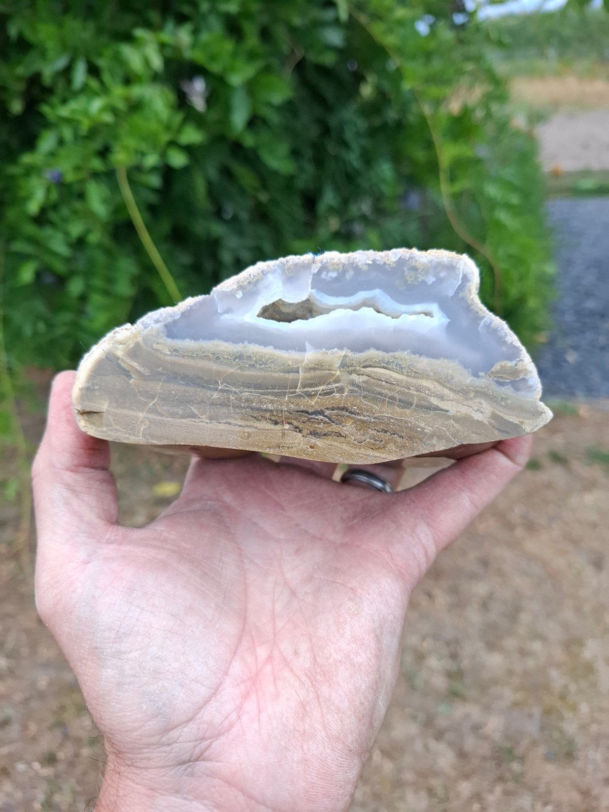Versteend hout met chalcedoon gepolijst, Ophalen of Verzenden, Mineraal