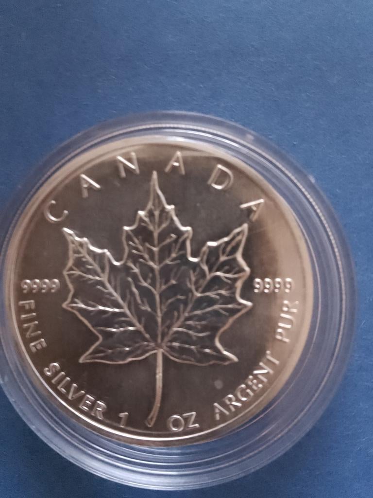 Maple Leaf 1989 1 oz zilver, Ophalen of Verzenden, Zilver