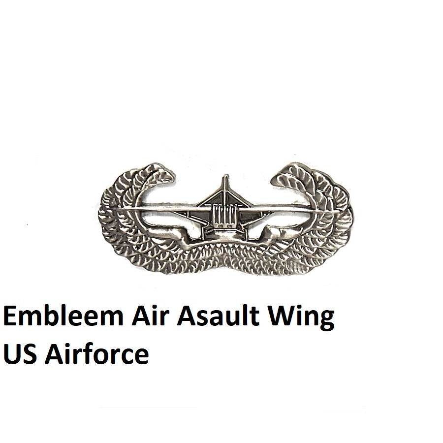 Embleem,Badge,US,Airforce,Air,Asault,Wing, Verzenden, Luchtmacht, Amerika, Embleem of Badge
