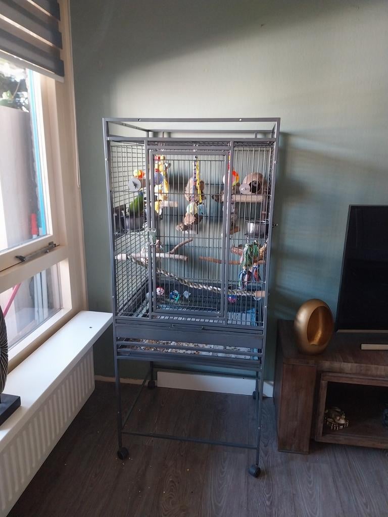 Pyrrhura met kooi, Ophalen, Metaal, Vogelkooi