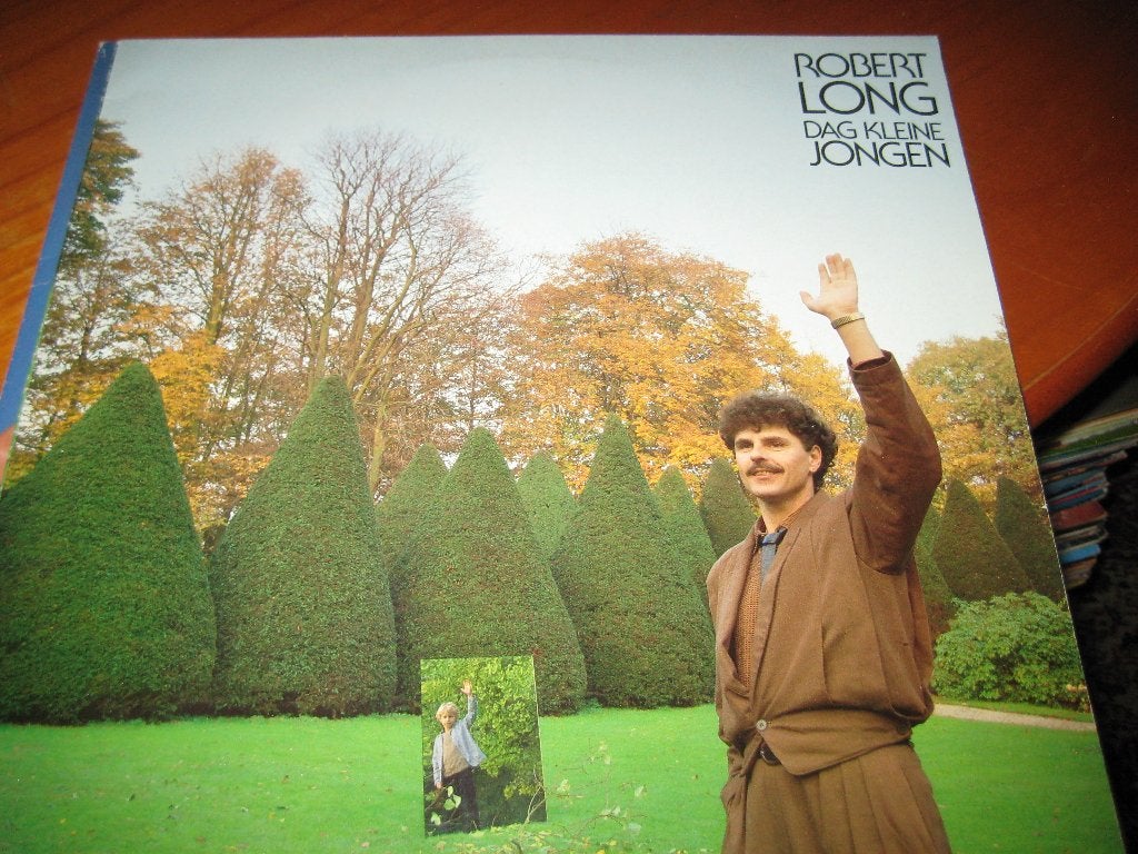 LP, Robert Long: Dag kleine jongen, Ophalen of Verzenden, Zo goed als nieuw, LP