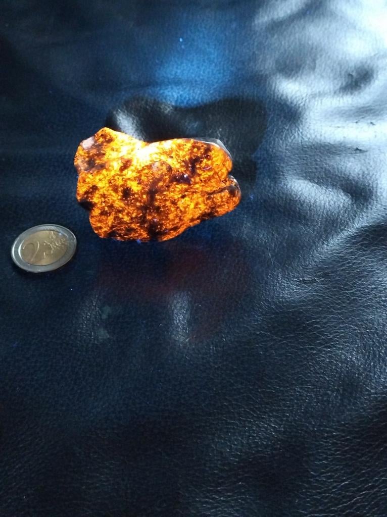 Yooperliet t-rex schedel, Postzegels en Munten, Ophalen of Verzenden, 50 cent