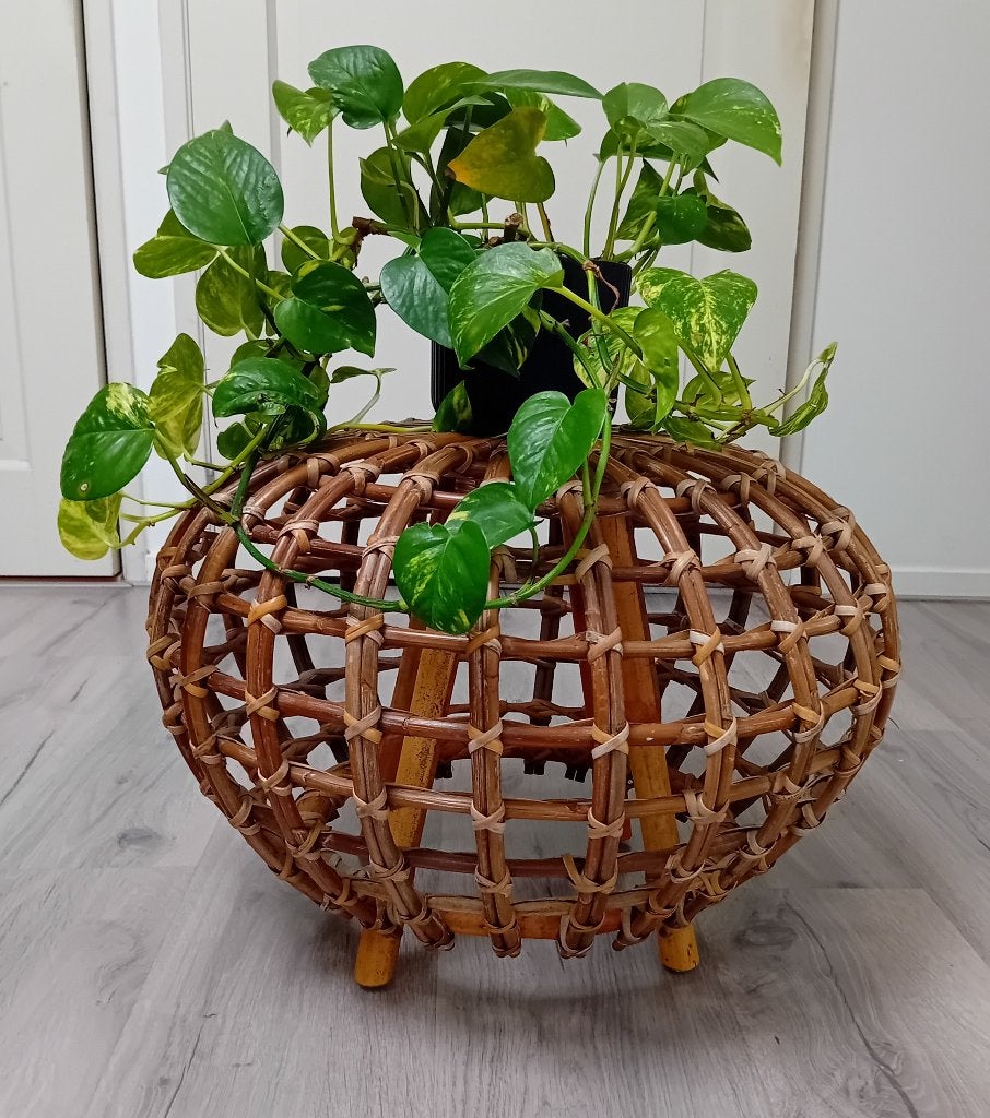 rotan voetenbankje, hocker, poef of bijzettafel 1950-1959, Verzenden, Rechthoekig, Minder dan 55 cm, 45 tot 60 cm