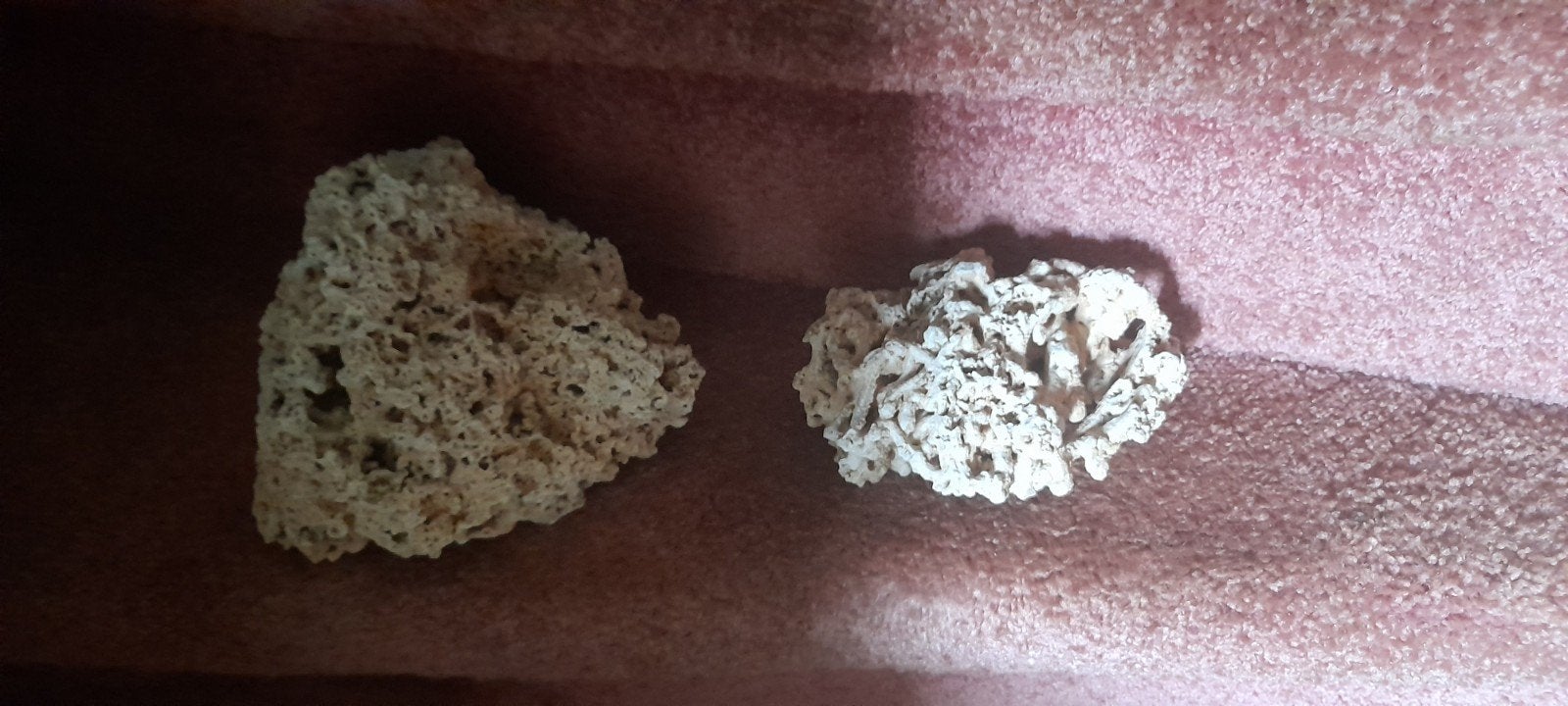 Aparte aquarium stenen, Dieren en Toebehoren, Ophalen of Verzenden, Plant(en), Steen of Hout