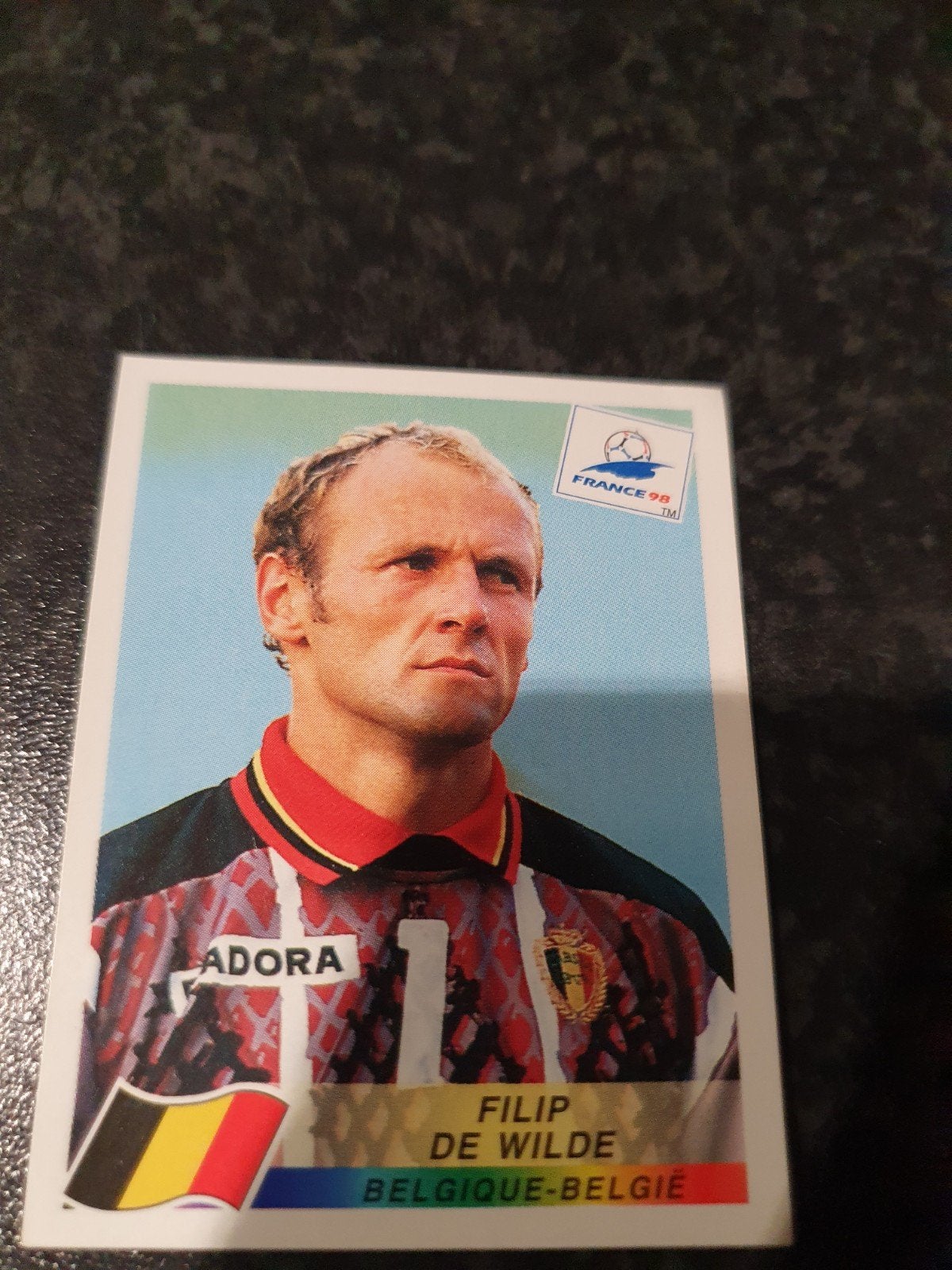 Panini France 98 - Nmr 319, Verzenden, Zo goed als nieuw, Sticker
