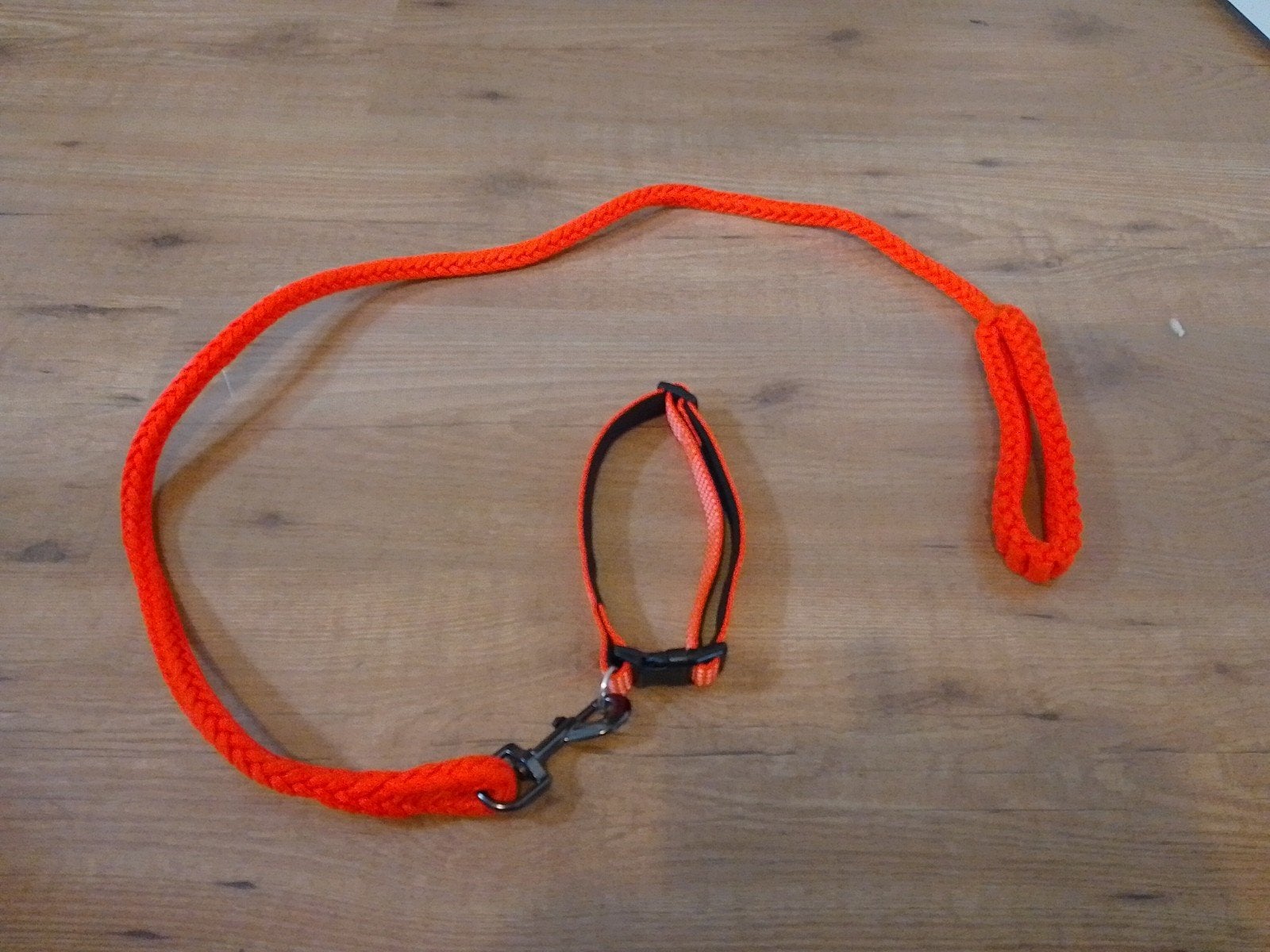 hondenriem met halsband, Dieren en Toebehoren, Ophalen of Verzenden, Nieuw