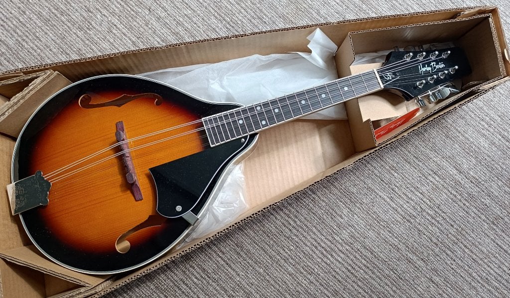 Mandoline, Muziek en Instrumenten, Snaarinstrumenten | Mandolines, Ophalen of Verzenden, Nieuw