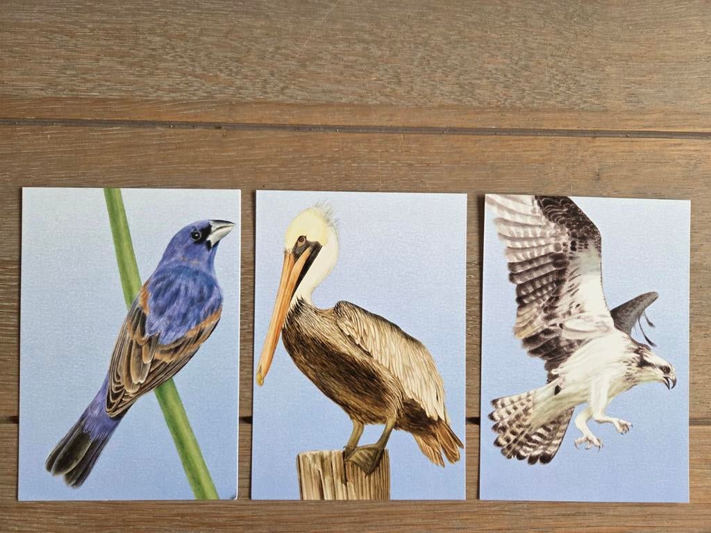 3 VOGELS, Ophalen, 1980 tot heden, Natuur