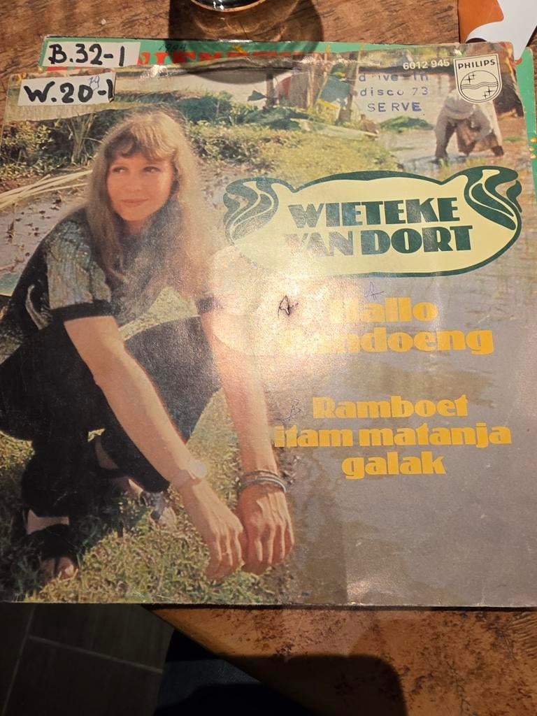 Wieteke van Dort Hallo Bandoeng / Ramboet Itam Matanja Gal, Ophalen of Verzenden, Gebruikt, 7 inch