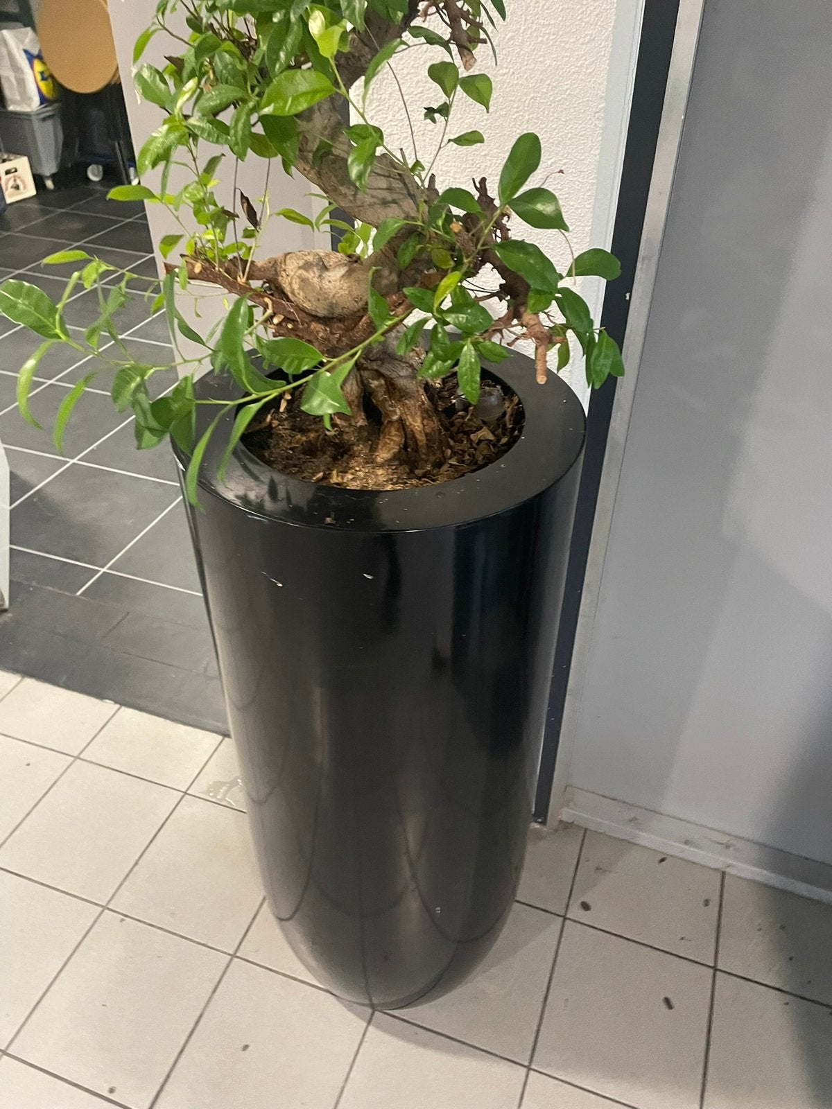 Prachtige bloempot te koop, Ophalen, Zo goed als nieuw, Rond, Steen