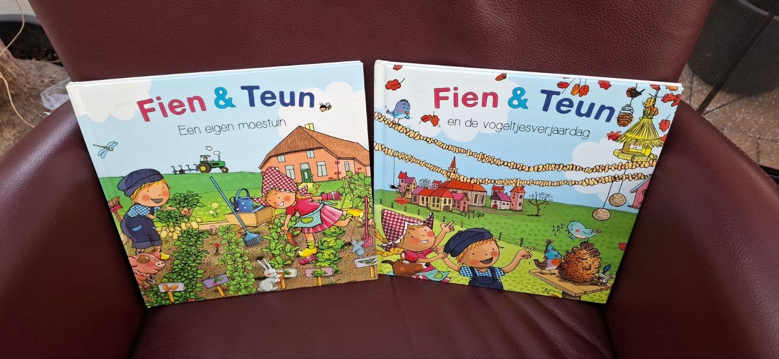 fien en teun, Ophalen, Zo goed als nieuw, Non-fictie