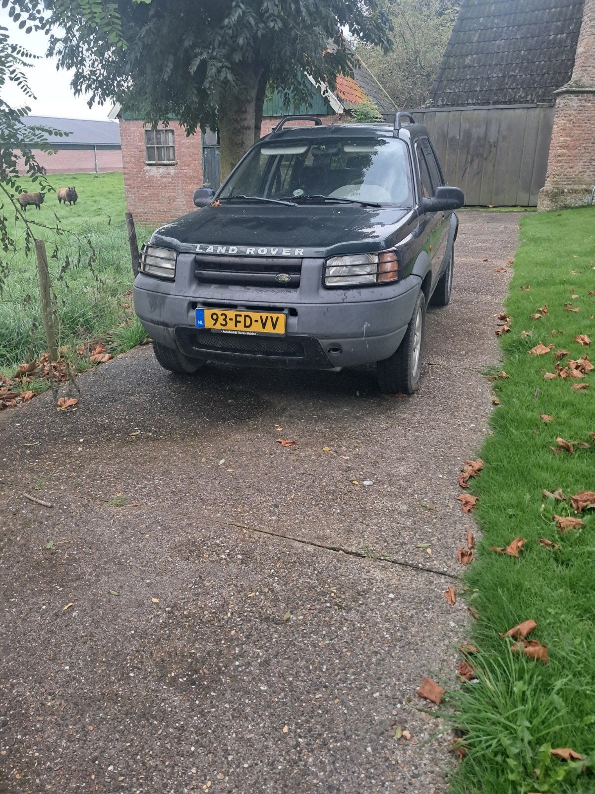Land Rover Freelander 1.8 I 5DR 4WD 2000 Groen, Auto's, Zwart, 4 cilinders, 2000 kg, 1796 cc