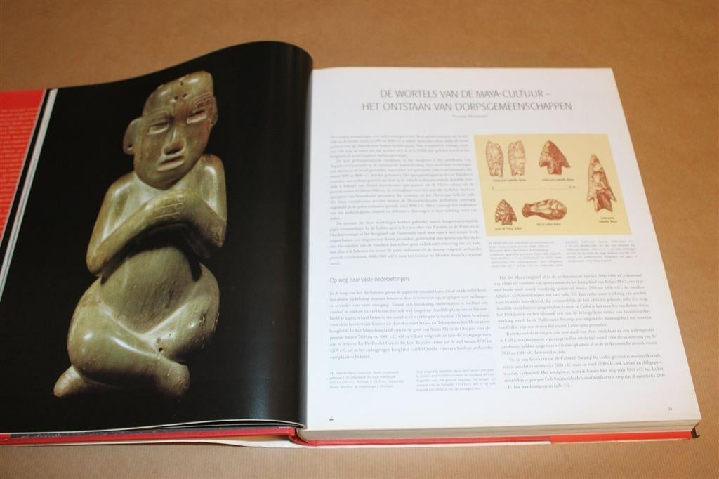 Maya — Het Rijk Geïllustreerde Standaardwerk — Dik Boek, Ophalen of Verzenden, Gelezen, Europa