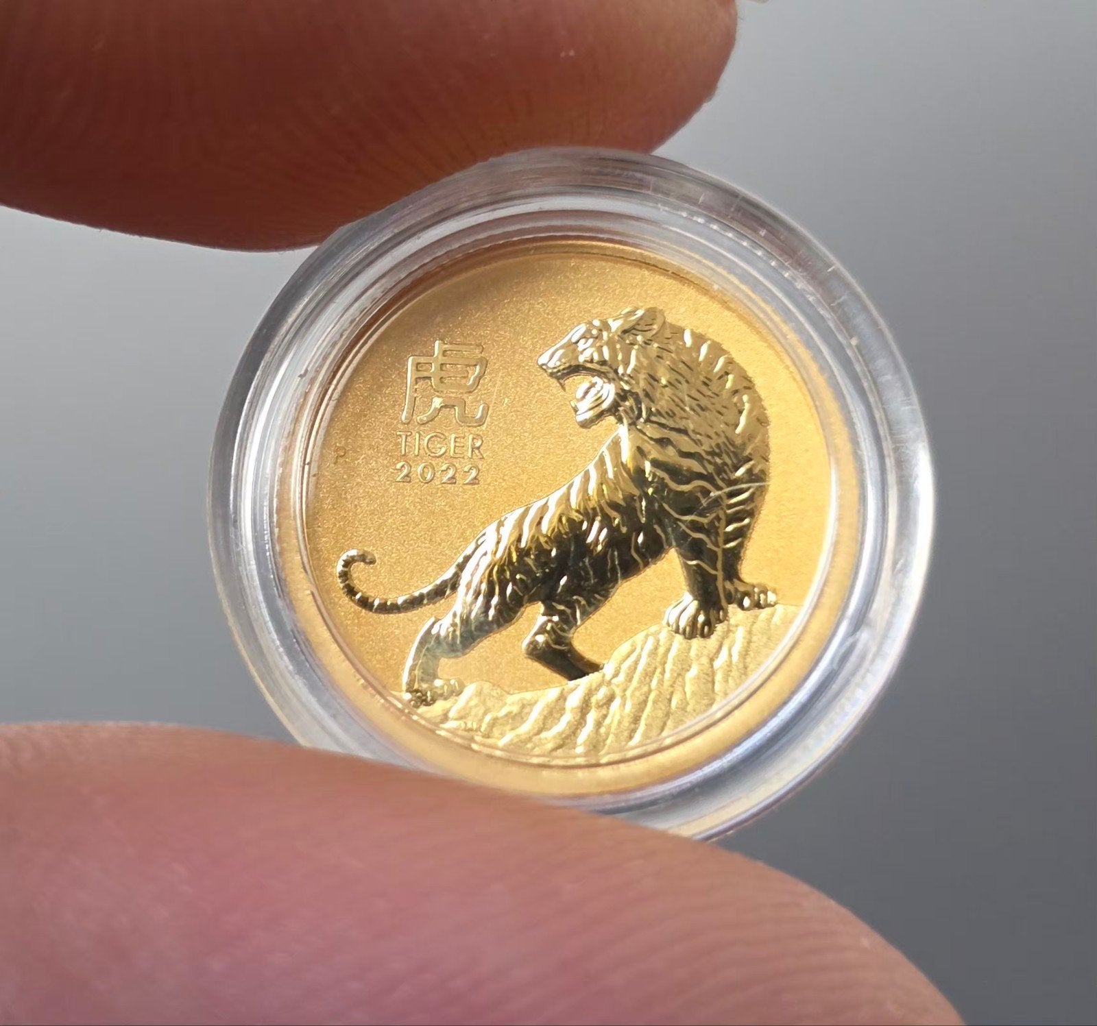 1/10oz 2020 Tijger Australië, Verzenden, Goud