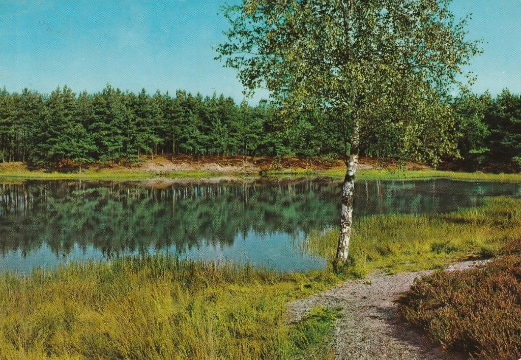 Ansichtkaart Recreatiepark Duinven Oisterwijk, Ophalen of Verzenden, 1960 tot 1980, Gelopen, Noord-Brabant