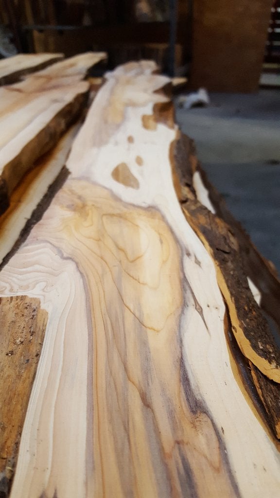 Taxus schaaldelen & taxusplanken | Uniek warm hout | Tree ID, Ophalen, 25 tot 50 mm, Nieuw, Plank