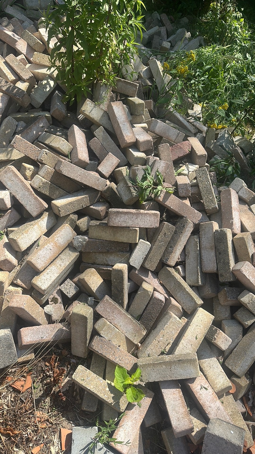 Gratis af te halen, klinkertjes 20x5x5, geel en rood, Ophalen, Gebruikt, Beton, Klinkers