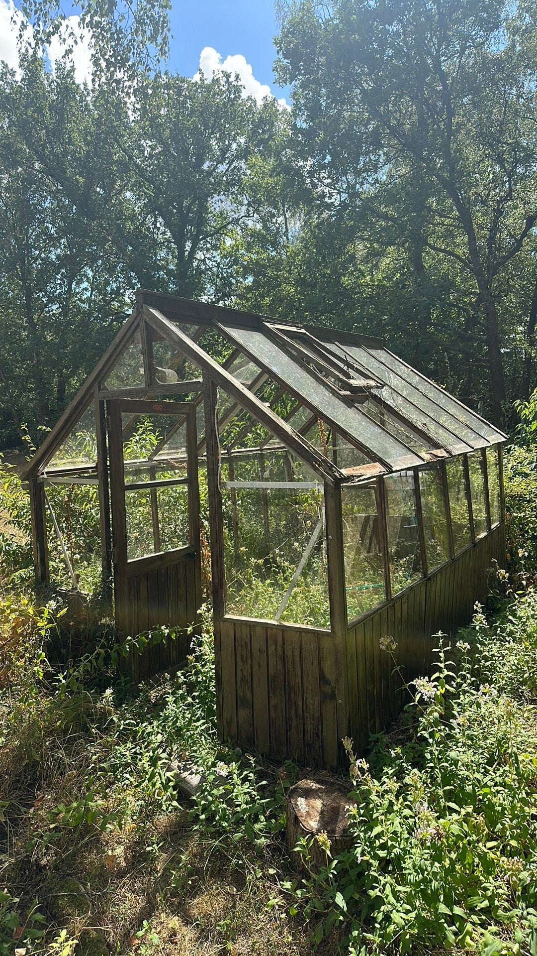 Gratis Tuin Kas (slechte staat), Ophalen, Overige materialen, Gebruikt, Kweekkas