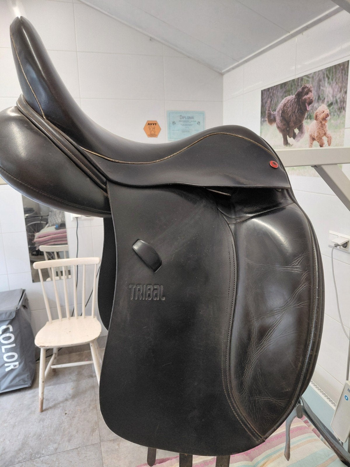 dressuur zadel, Dieren en Toebehoren, Paarden en Pony's | Zadels, Gebruikt, Dressuur, M (17 inch), Ophalen of Verzenden
