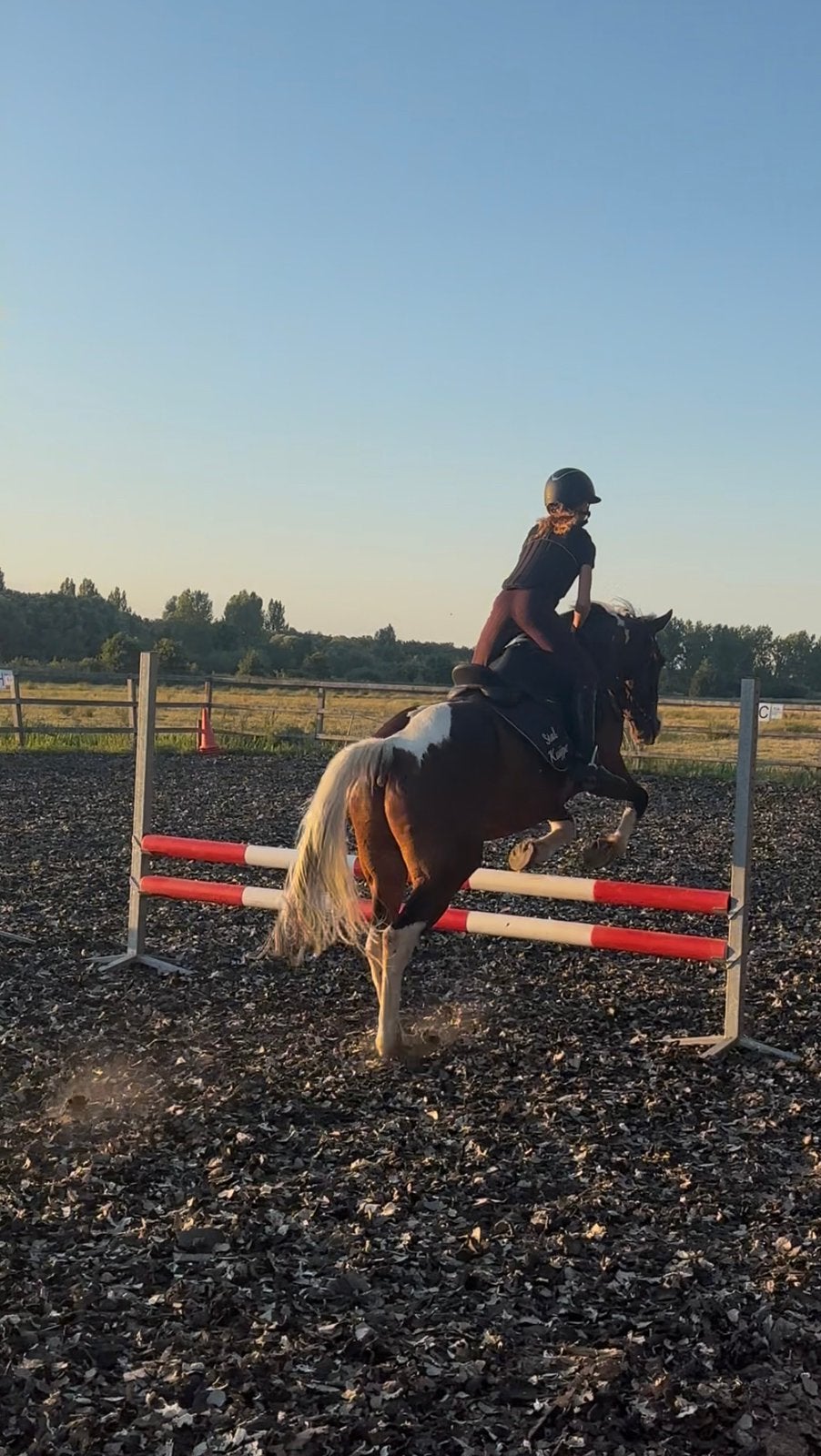 OPZOEK NAAR VERZORG PONY, Ophalen of Verzenden