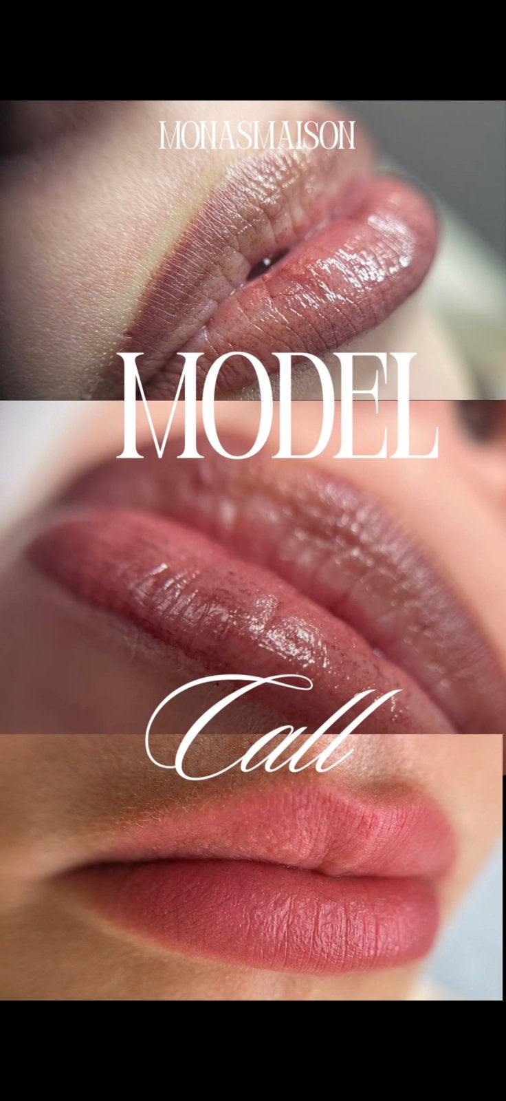 Model call pmu lips, lip blush, ombre lips, 33 - 40 uur, Overige niveaus, Starter, Overige vormen