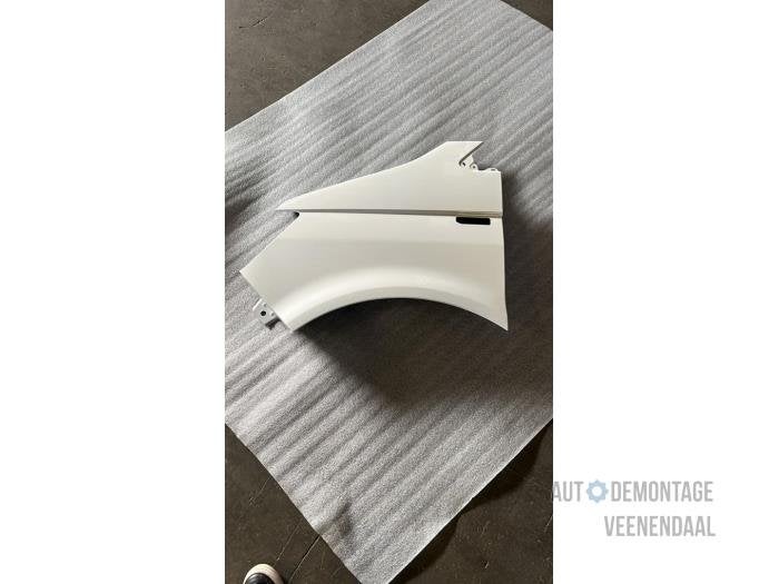 Scherm links-voor van een Volkswagen Transporter (LB9A), -, Volkswagen, -, Nieuw
