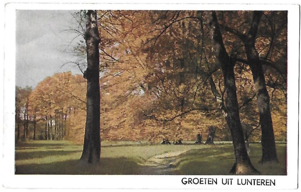 Lunteren gelopen Ansichtkaart ( BL431 ), Ophalen of Verzenden, 1980 tot heden, Gelopen, Gelderland