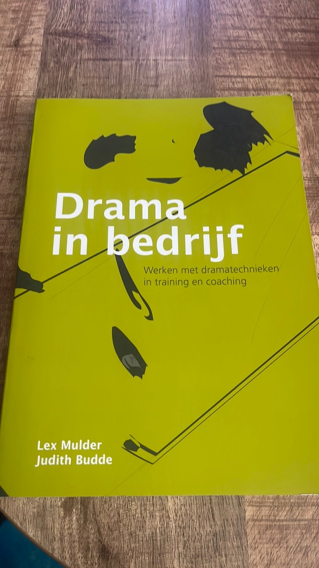 Lex Mulder - Drama in bedrijf, Ophalen of Verzenden, Zo goed als nieuw, Lex Mulder; Judith Budde
