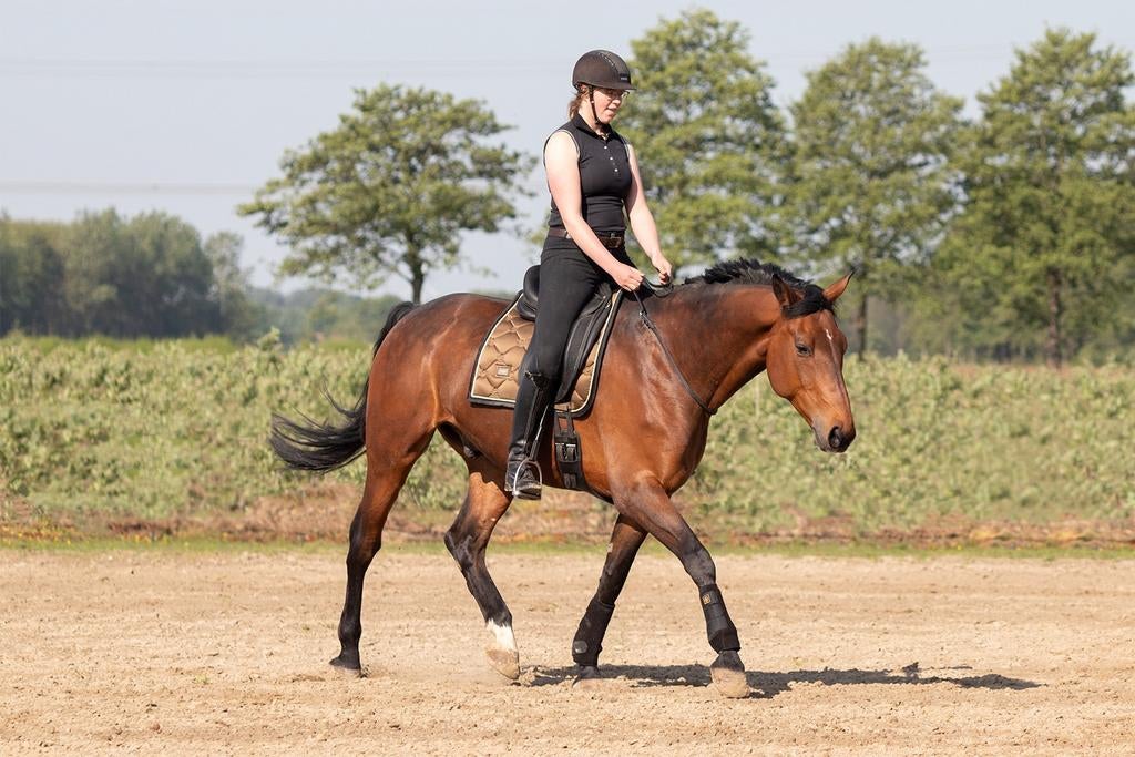 Training & instructie aangeboden - Omgeving Limburg, Dieren en Toebehoren, Paarden, Z