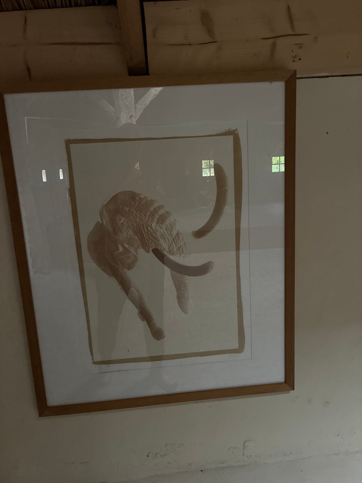 Ingelijste olifantenprint achter glas - 73x89 cm, Ophalen, Print, Achter glas