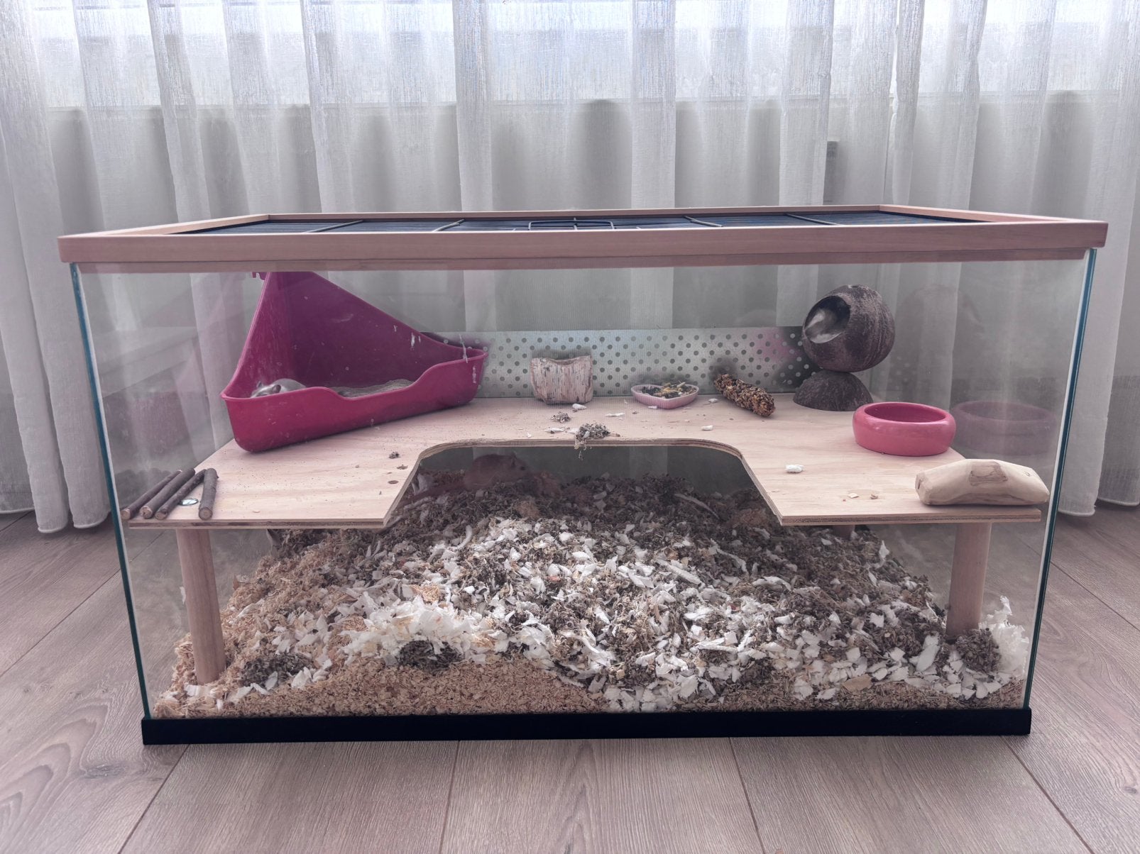 2 lieve tamme vrouwelijke gerbils + verblijf 80 cm, Dieren en Toebehoren, Kooi, Hamster, Zo goed als nieuw, 75 tot 110 cm