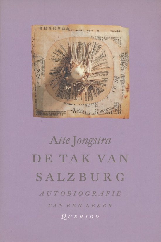 ATTE JONGSTRA De Tak Van Salzburg, Ophalen of Verzenden, Gelezen